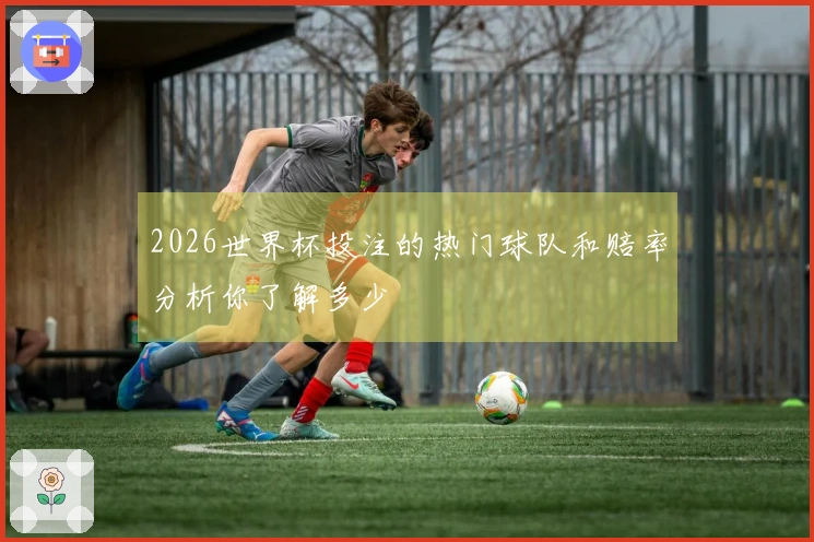 2026世界杯投注的热门球队和赔率分析你了解多少
