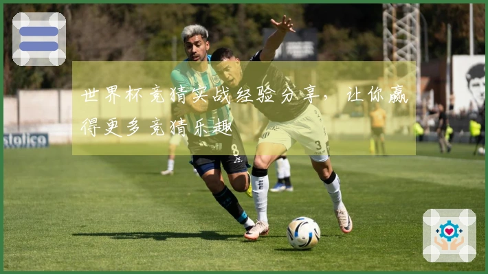 世界杯竞猜实战经验分享，让你赢得更多竞猜乐趣