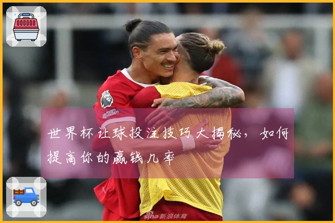 世界杯让球投注技巧大揭秘，如何提高你的赢钱几率