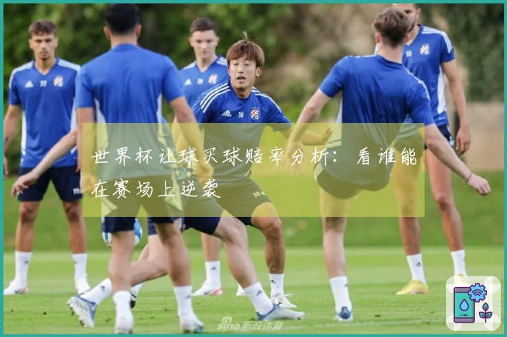 世界杯让球买球赔率分析：看谁能在赛场上逆袭