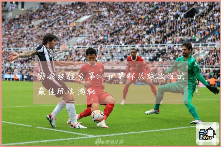 实战经验分享：世界杯买球投注的最佳玩法揭秘