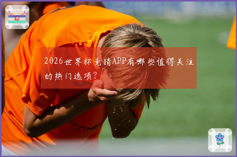2026世界杯竞猜APP有哪些值得关注的热门选项？