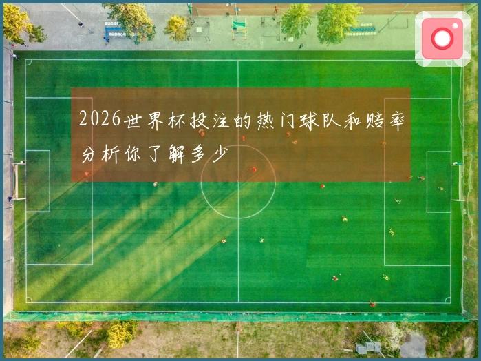 2026世界杯投注的热门球队和赔率分析你了解多少