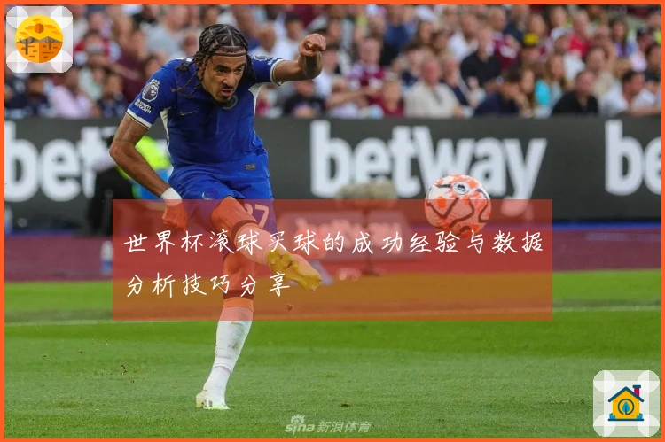 世界杯滚球买球的成功经验与数据分析技巧分享