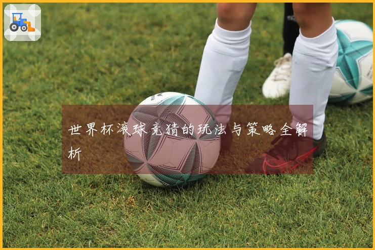 世界杯滚球竞猜的玩法与策略全解析
