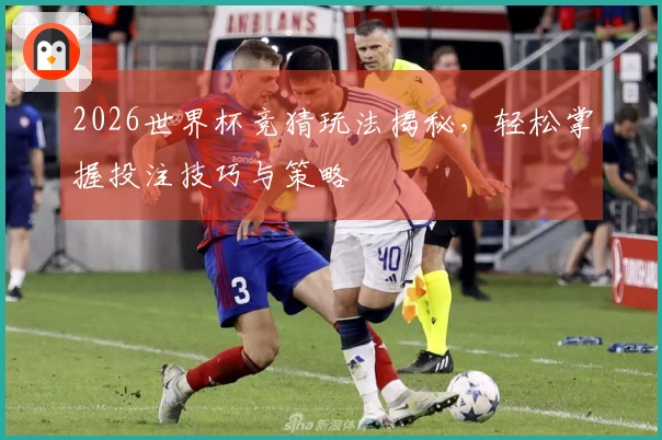 2026世界杯竞猜玩法揭秘，轻松掌握投注技巧与策略