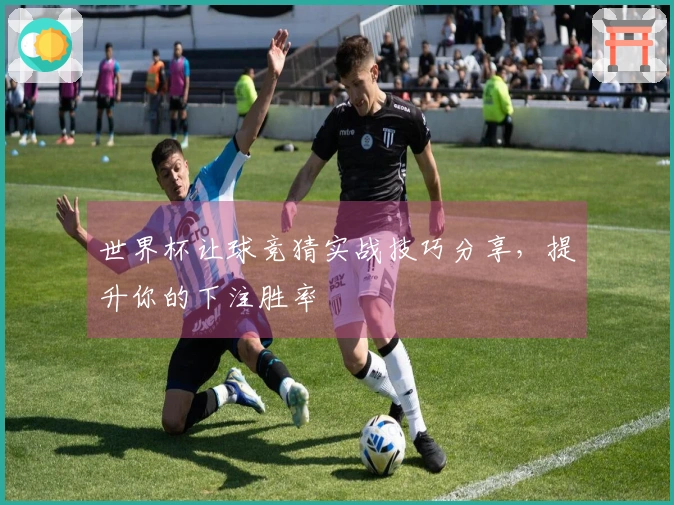 世界杯让球竞猜实战技巧分享，提升你的下注胜率