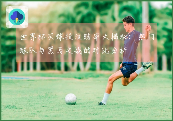 世界杯买球投注赔率大揭秘：热门球队与黑马之战的对比分析
