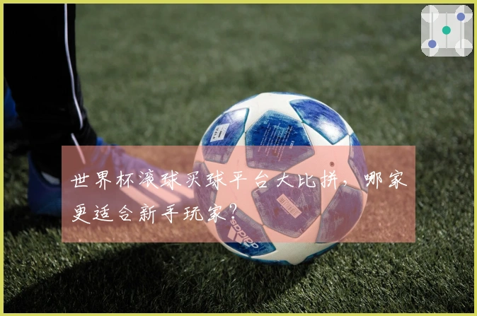 世界杯滚球买球平台大比拼，哪家更适合新手玩家？