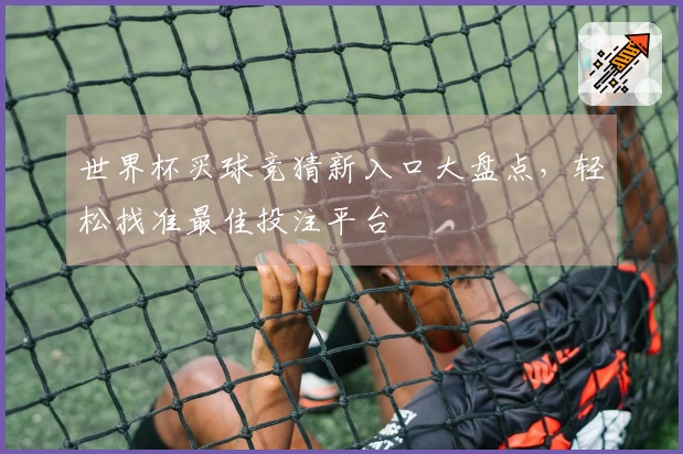 世界杯买球竞猜新入口大盘点,轻松找准最佳投注平台