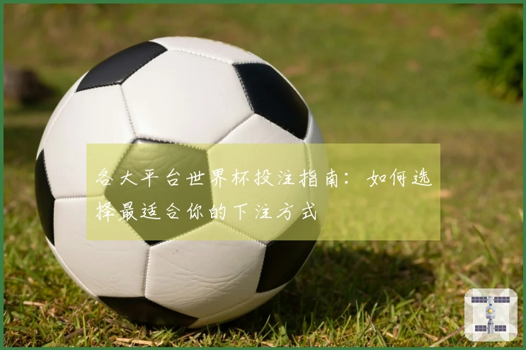 各大平台世界杯投注指南：如何选择最适合你的下注方式