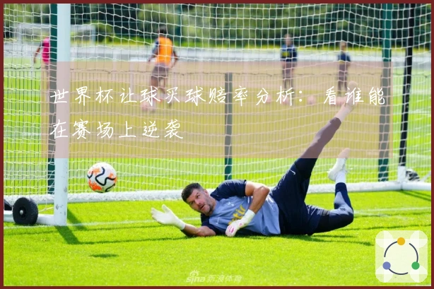 世界杯让球买球赔率分析:看谁能在赛场上逆袭