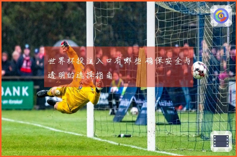 世界杯投注入口有哪些 确保安全与透明的选择指南