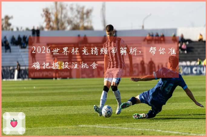 2026世界杯竞猜赔率解析，帮你准确把握投注机会