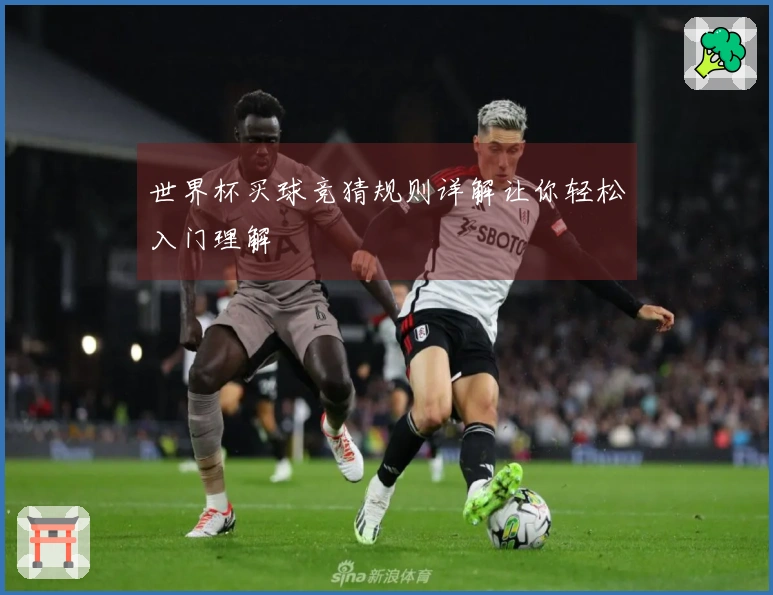 世界杯买球竞猜规则详解让你轻松入门理解