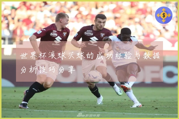 世界杯滚球买球的成功经验与数据分析技巧分享