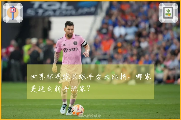 世界杯滚球买球平台大比拼,哪家更适合新手玩家?