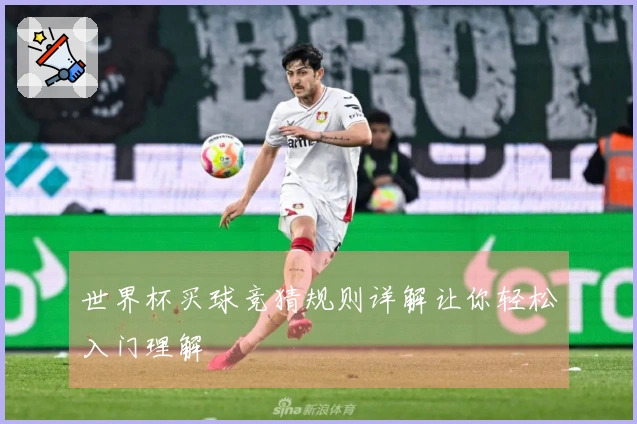 世界杯买球竞猜规则详解让你轻松入门理解